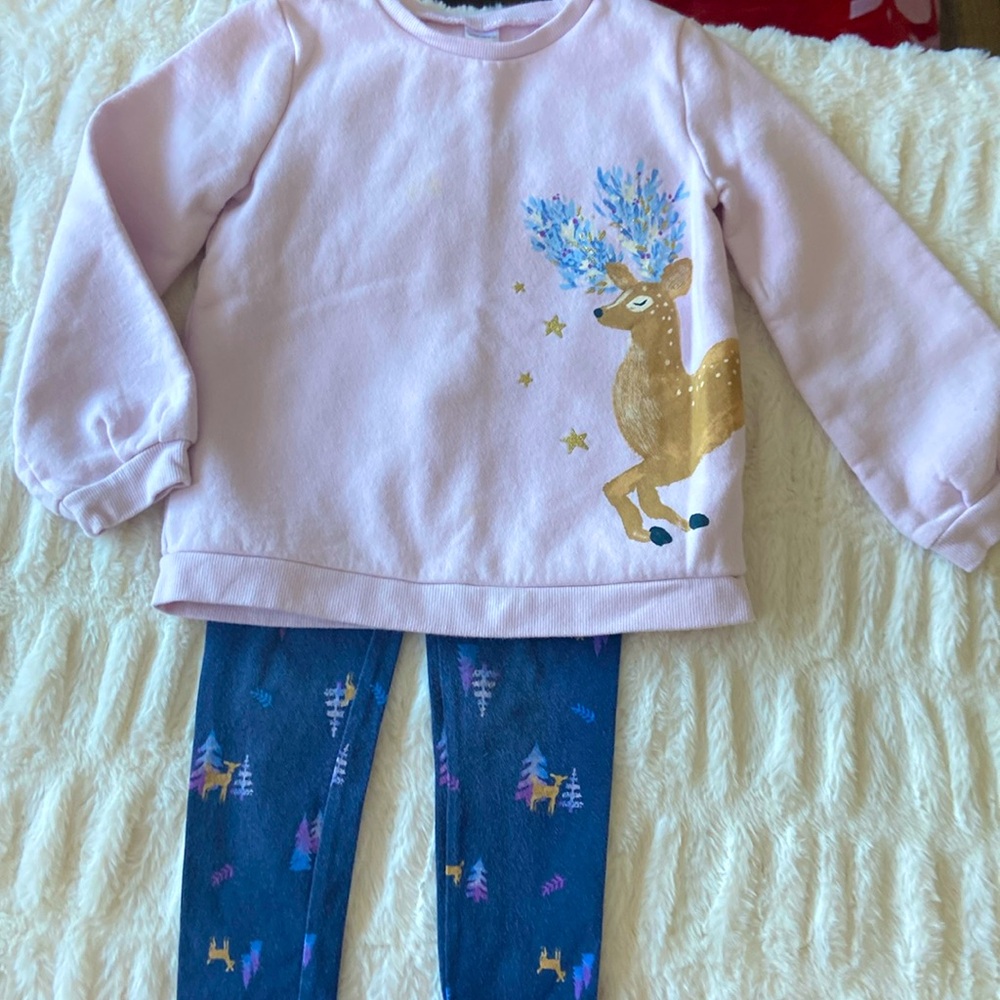 Carter’s girls Sweatshirt and leggings sz 5t